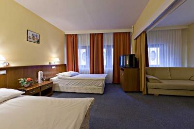 Hotel Palatinus - soproni 3-4 fős apartmanok a belvárosban a Palatinus Szállóban - Hotel Palatinus Sopron - Palatinus Szálló Sopron belvárosában megfizethető áron