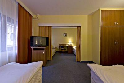 Palatinus Szálló - soproni apartmanok a VOLT fesztivál helyszínén megfizethető áron - Hotel Palatinus Sopron - Palatinus Szálló Sopron belvárosában megfizethető áron
