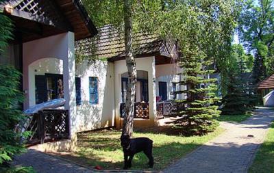 Bor-B Bungaló a Club Tihanyban a Balatonnál - ✔️ Club Tihany Bungalows**** ✔️ Akciós faházak a Balatonnál!