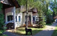 Bor-B Bungaló a Club Tihanyban a Balatonnál